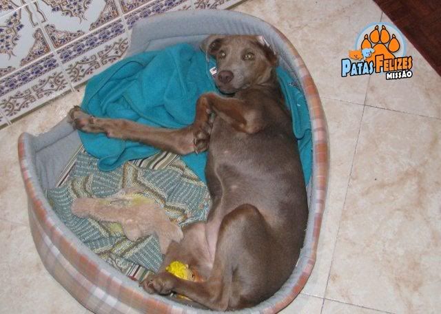Imagem