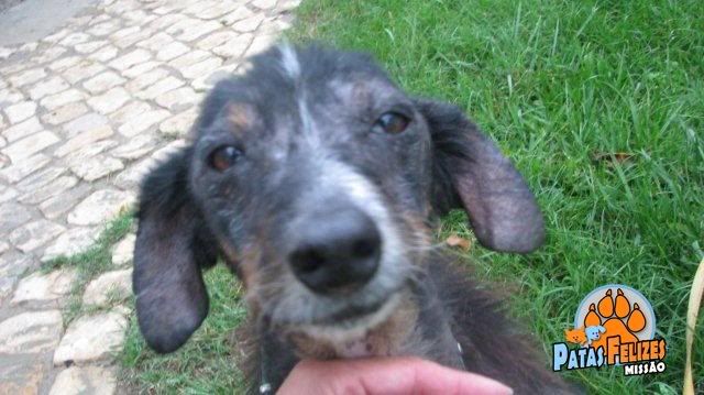 Imagem