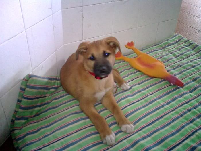 Imagem