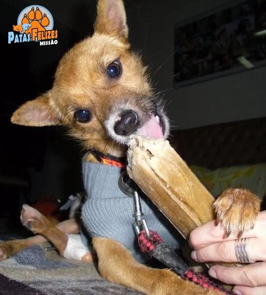 Imagem