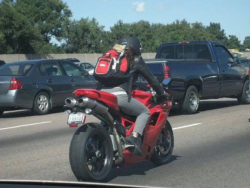 DucatiDog3236726921_b37ec29560.jpg
