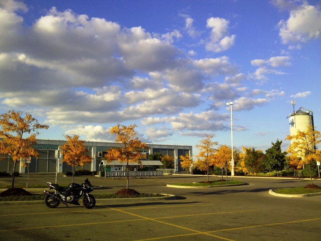 WestonSuperstoreToronto-20121008-00151.jpg