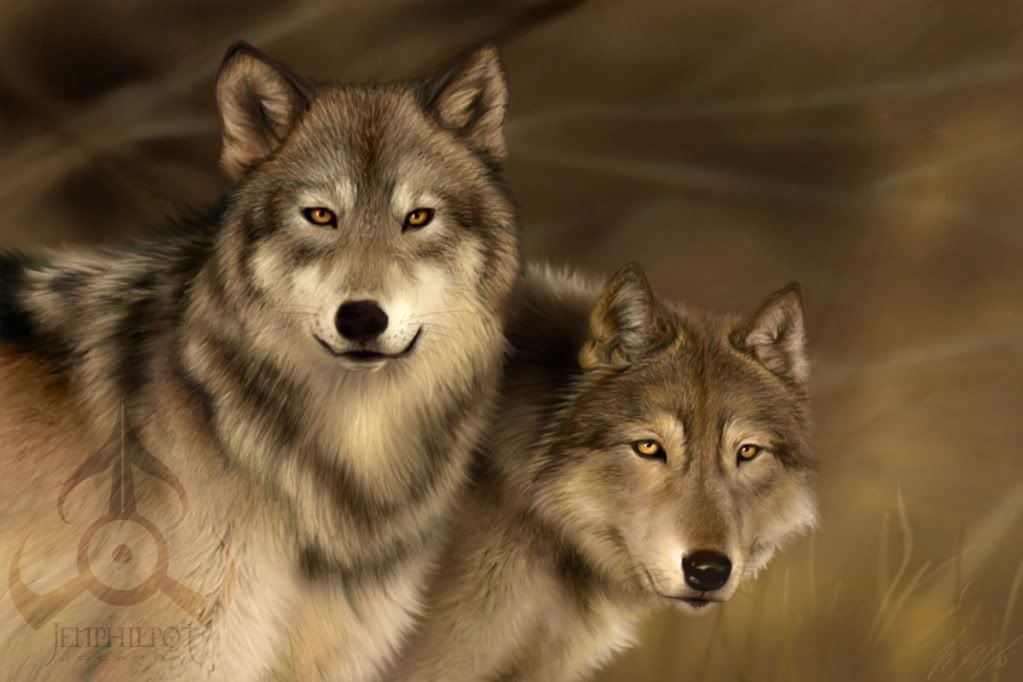 wolves wallpaper. wolf wallpapers. wallpaper