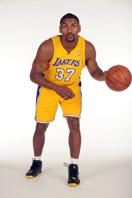 ron artest lakers Image
