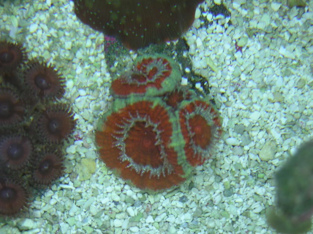 20030101 03 3 - Let's See Your aCans!!