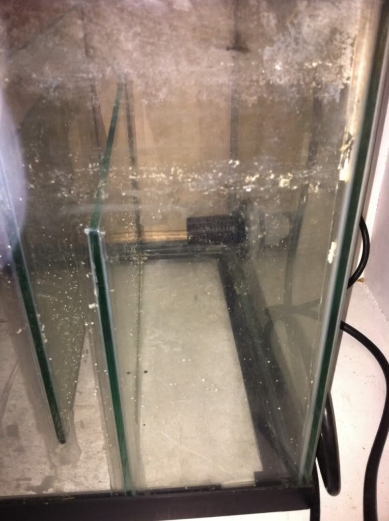 Sump3 - My new tank build