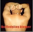 Fledgling Blogger