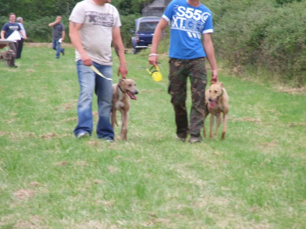 2008_0722dogsshowwelsh0173.jpg