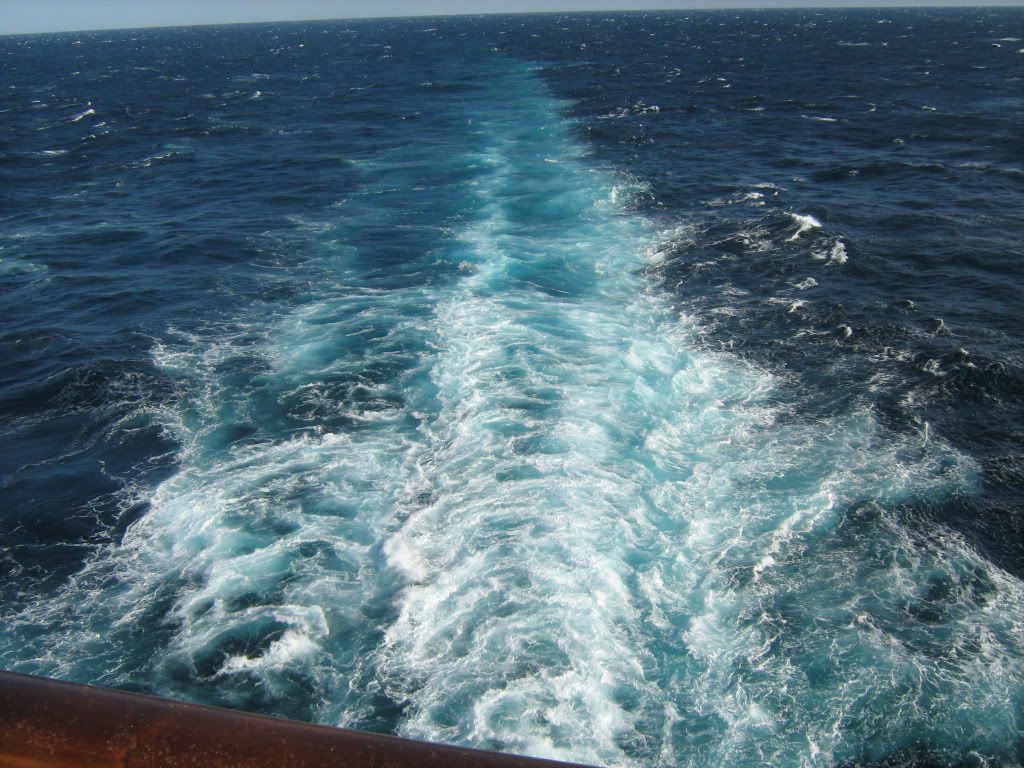 IMG_1554.jpg
