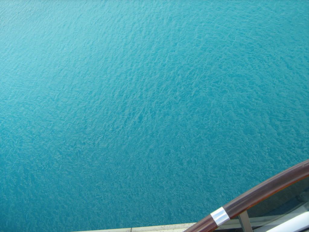 IMG_1665.jpg