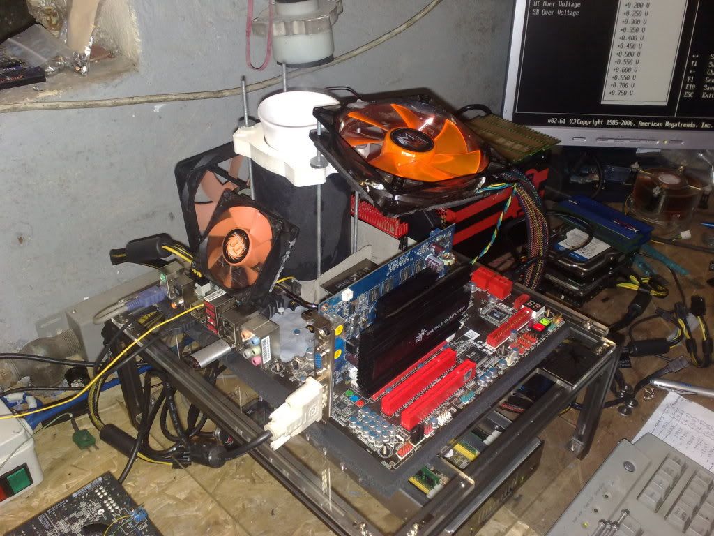 31072010875.jpg