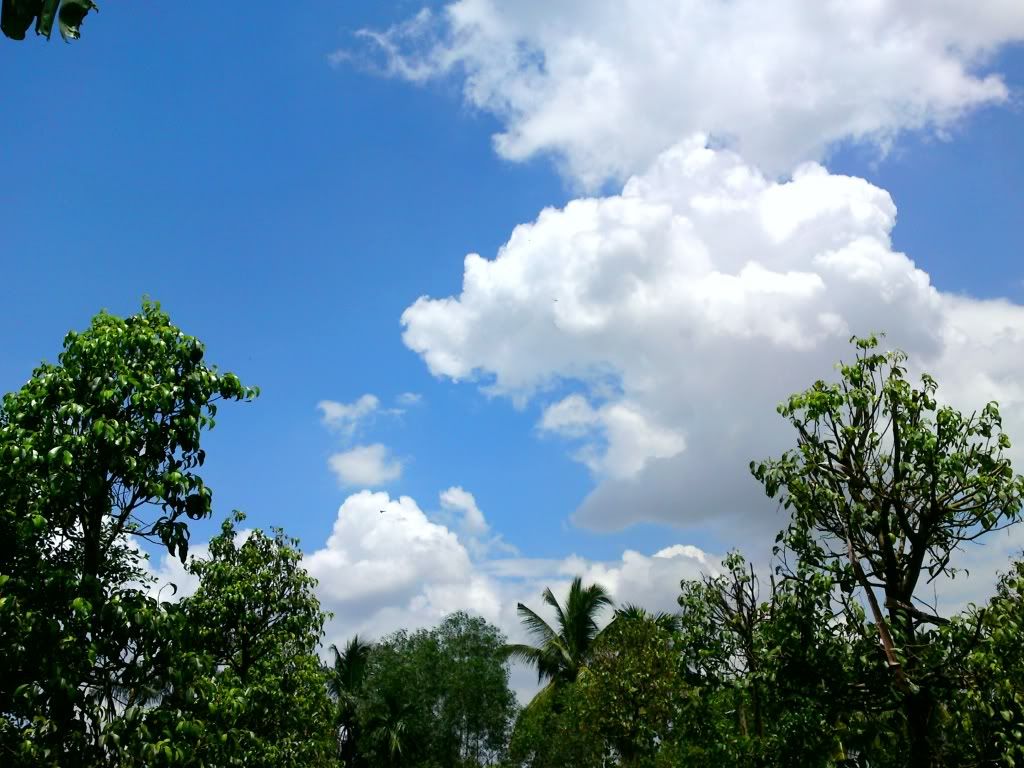 topic về những hình ảnh chụp bằng điện thoại di động - 3