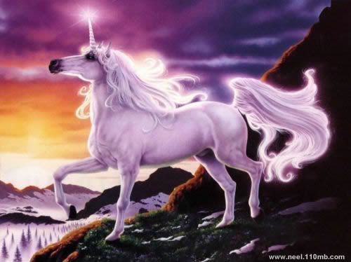 Fantasy Photo Picture