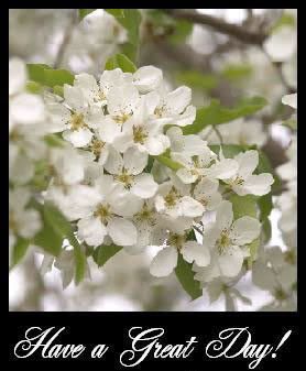 Good Day Photo Picture