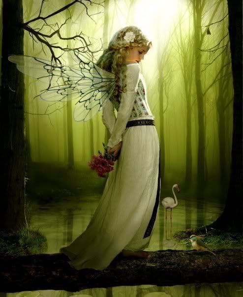 Forest Fairy In Love Pictures, Images and Photos