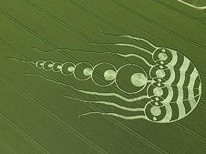 Crop Circle Oxfordshire