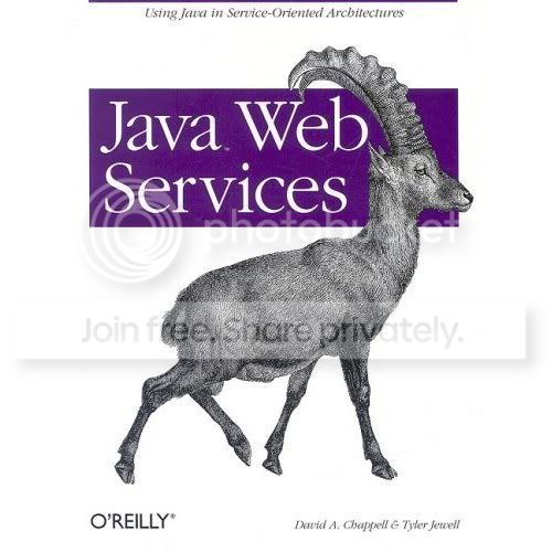 JavaWedSer.jpg